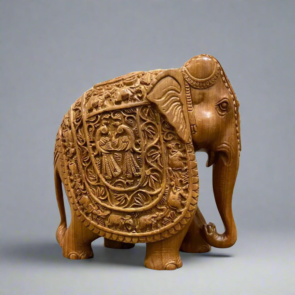 Elephants & Ambabari Collection