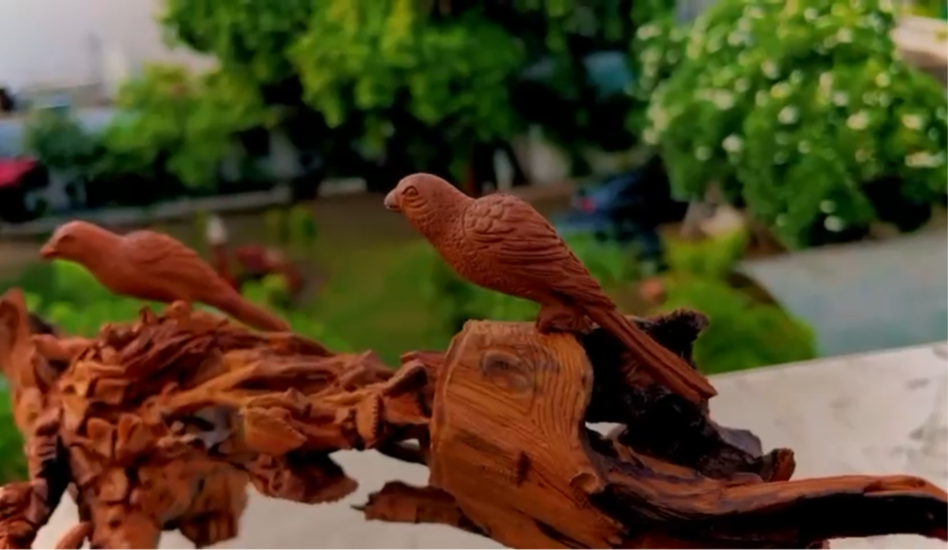 Sandalwood Root carving sparrow theme