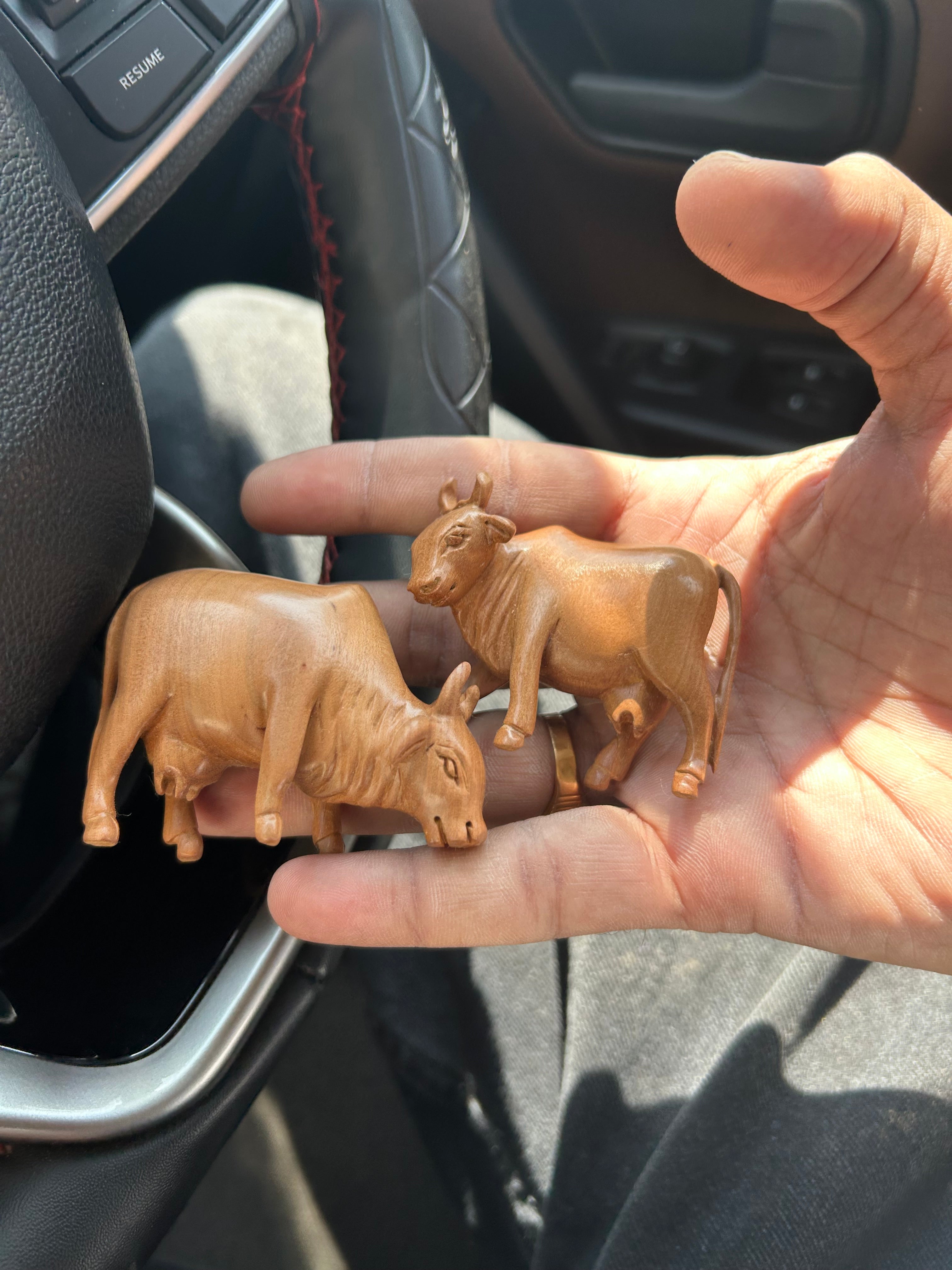 Sandalwood cows 8 statue set