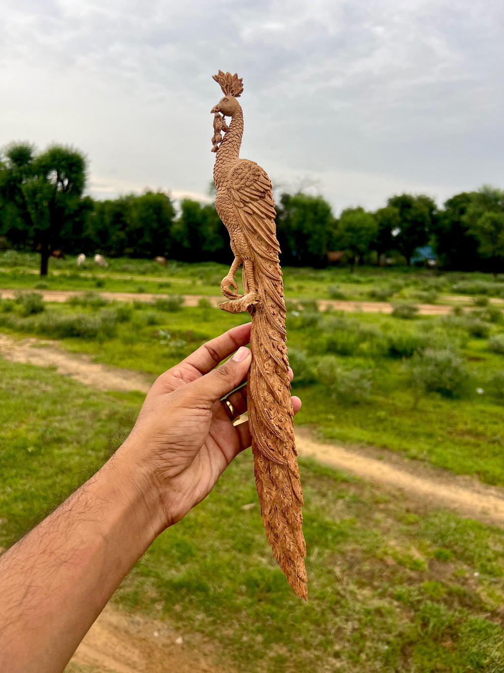 Sandalwood Hand Carved Peacock Carving