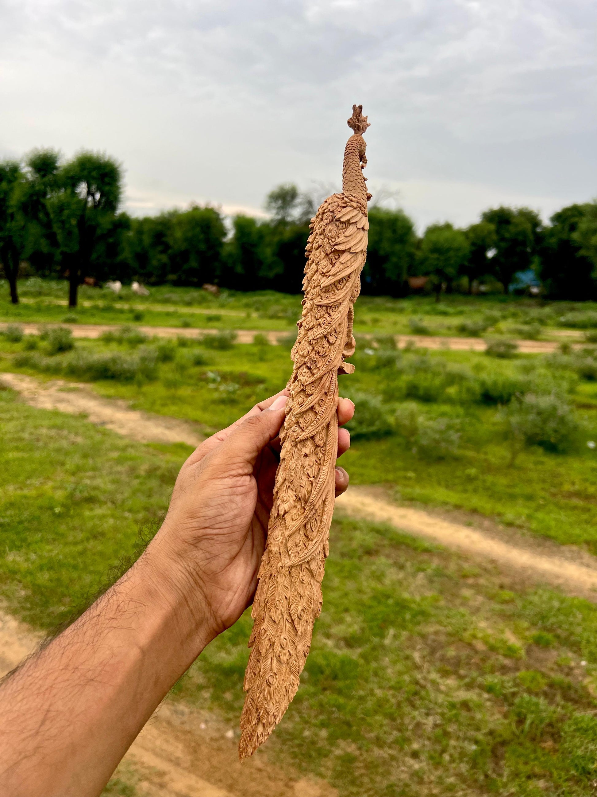 Sandalwood Hand Carved Peacock Carving