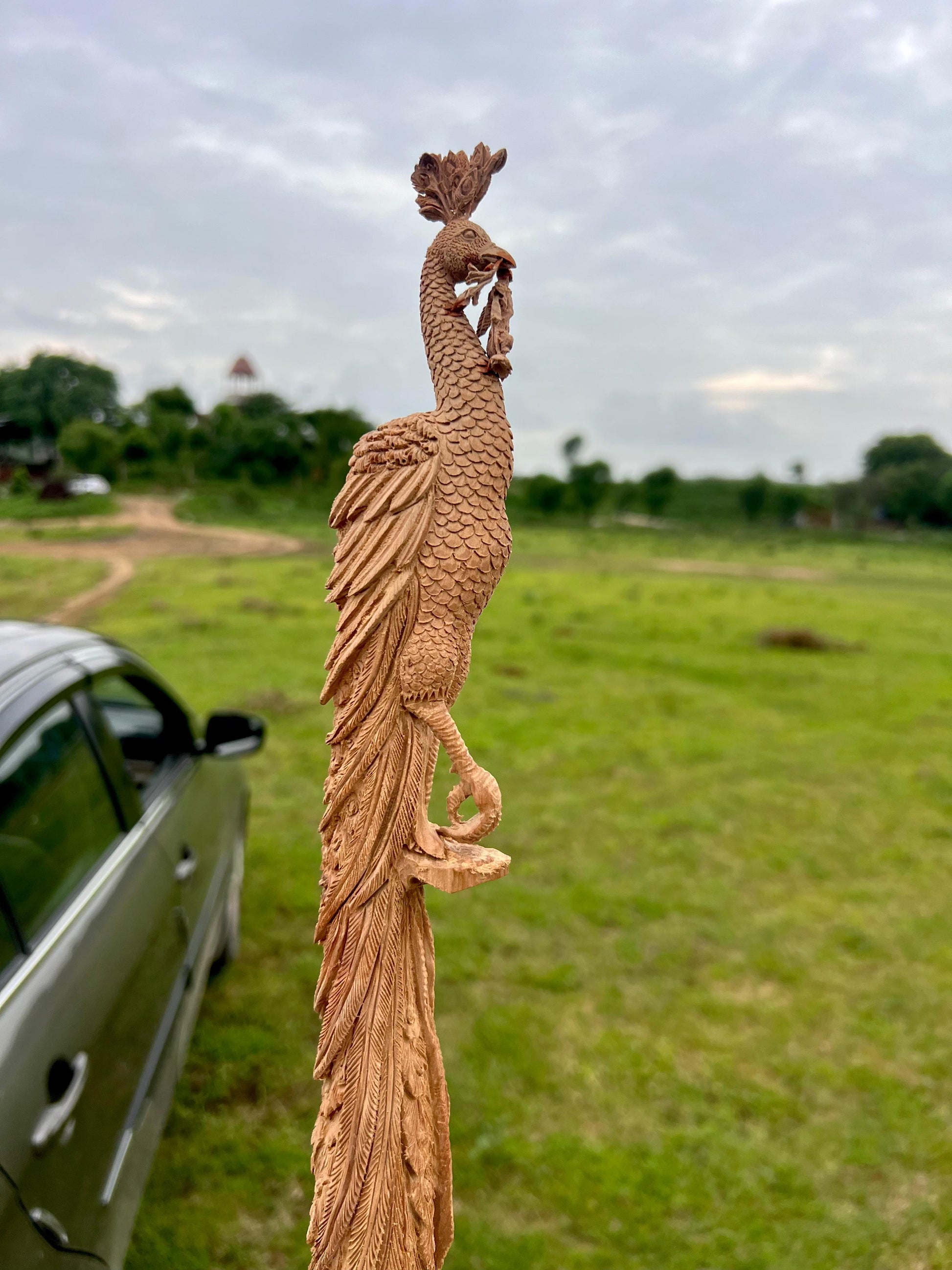 Sandalwood Hand Carved Peacock Carving