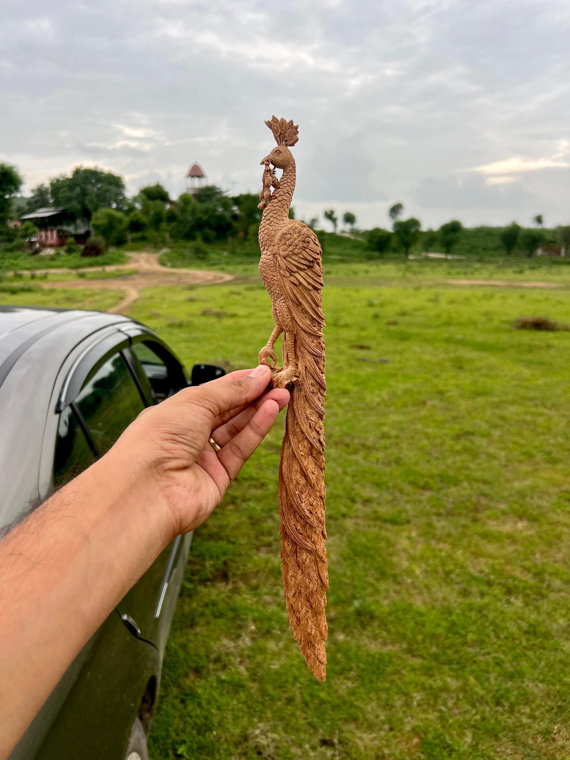 Sandalwood Hand Carved Peacock Carving