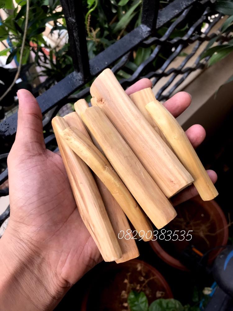 Sandalwood (चंदन की लकड़ी ) Chandan Raw Pieces For Tilak or Burning - Arts99 - Online Art Gallery